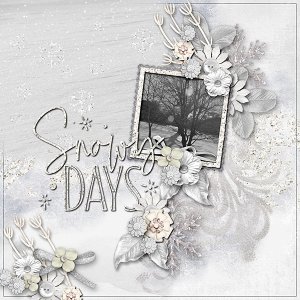 Snowy Days