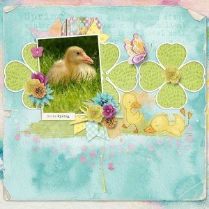 Quackin' Spwing