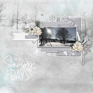 Snowy Days