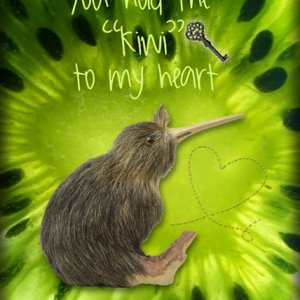 ATC 2019-029 Kiwi