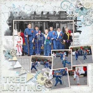 2014 11 Tree Lighting