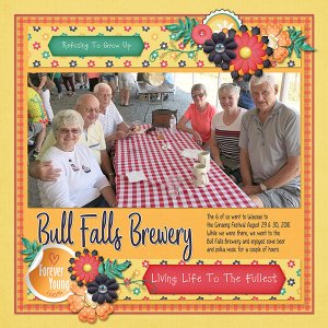 Bull Falls Brewery