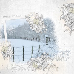 Snowy Days