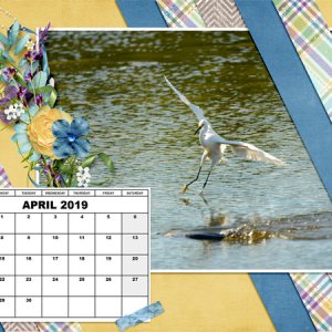 Desktop Challenge Mar 2019