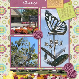 On the Wings of Change