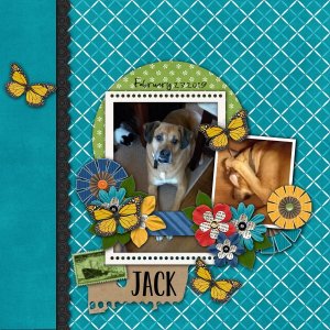 Jack