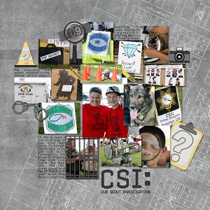 CSI Day Camp