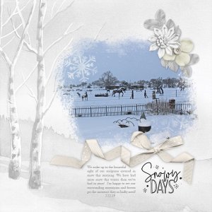 Snowy Days week 2 Cabin Fever Best in Snow