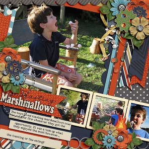 Toasting Marshmallows
