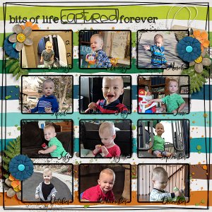 Bits of Life Captured Forever