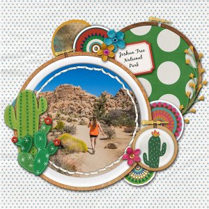 Llama_Hoops