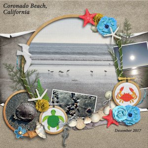 Coronado Beach