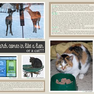 2019-03-03-weekly
