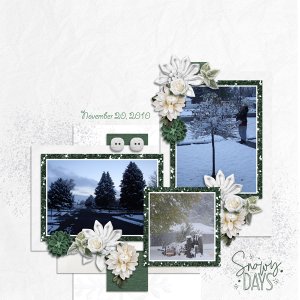 Snowy Days