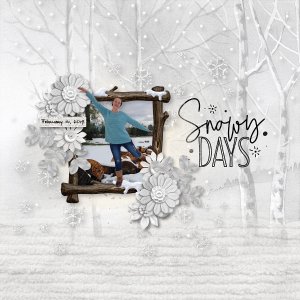 Snowy Days