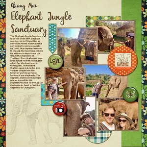 Elephant Sanctuary