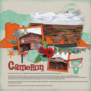 Cameron AZ