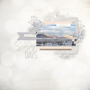 Snowy Days