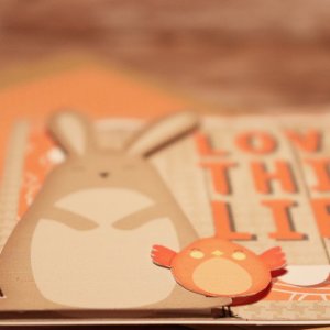 Love This Life Bunny Card Details