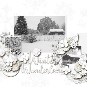 Winter Wonderland