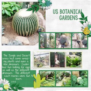 US Botanical Gardens