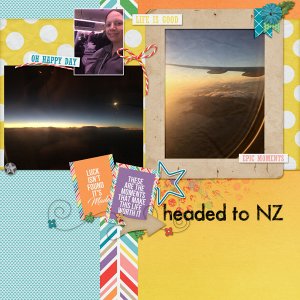 headed_to_NZ