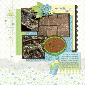 Little seedlings