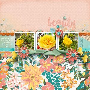 Rose and Freesia