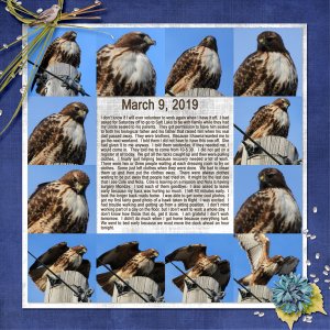 3-March_9_2019_small