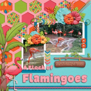 A Flock of Flamingoes