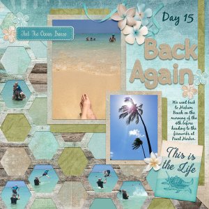 2017 Back to Hickam