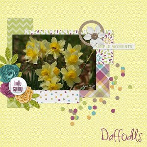 Daffodils