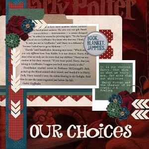 Our Choices