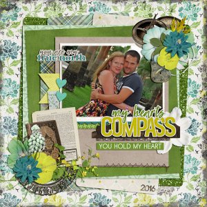 my hearts compass