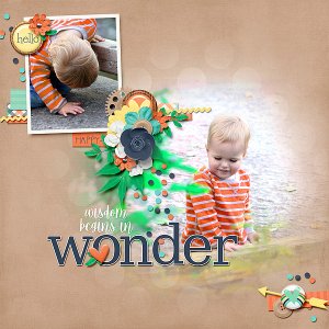 Wisdom in Wonder