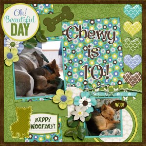Happy Birthday Chewy!