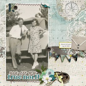 True North