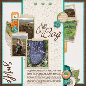 The Bog