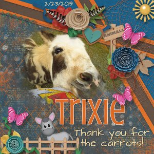 Silly Trixie!