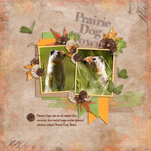Prairie Dog Town
