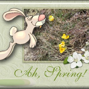 Ah, Spring!