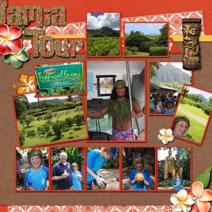2017 HI Macadamia Nut Tour2