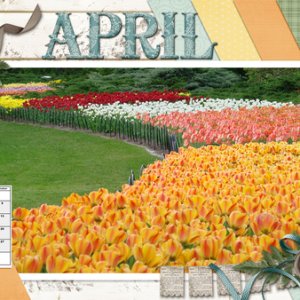 March 2019 Desktop Challenge
