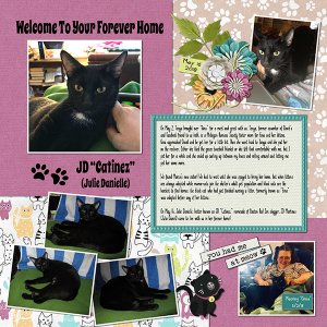 Welcome To Your Forever Home
