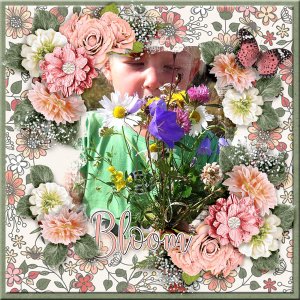Bloom23