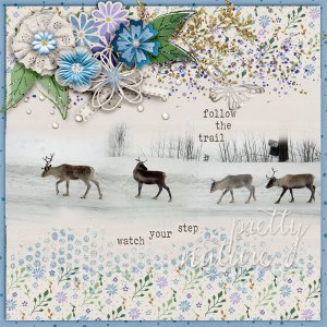 Pretty-nature