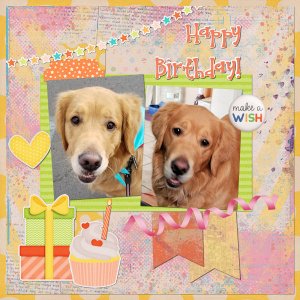 Happy Birthday Cookie