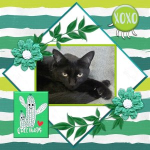 March 2019 Mini Kit Challenge
