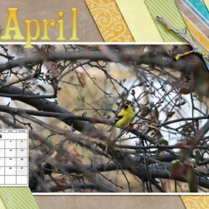 March_2019