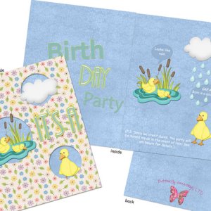 It's a Birthday Party Card